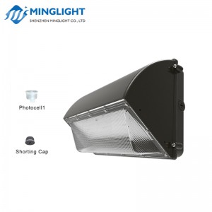 LED Wall Pack Light WPB2 42W