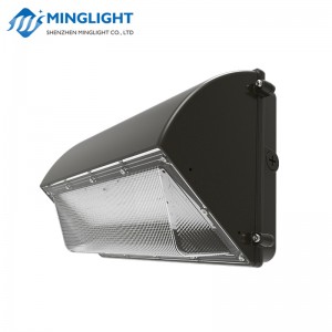 LED Wall Pack Light WPB2 100W